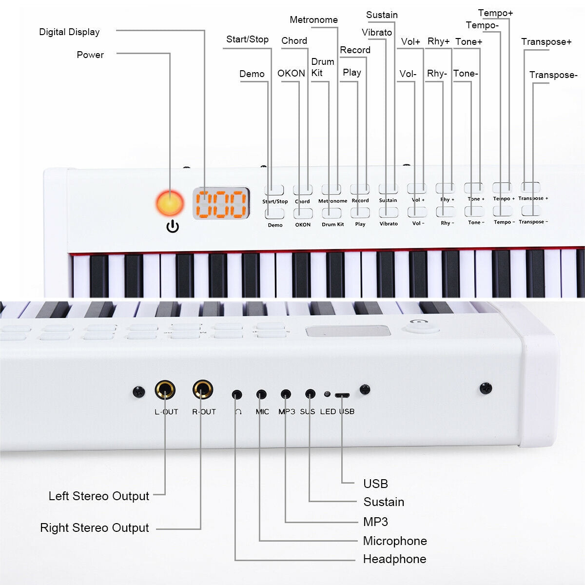 BX-II 88-key Portable Digital Piano with MP3-White