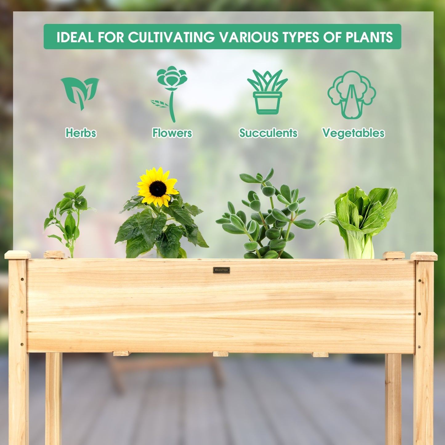 49’’ x 23’’ x 30’’ Wooden Raised Vegetable Garden Bed-Natural