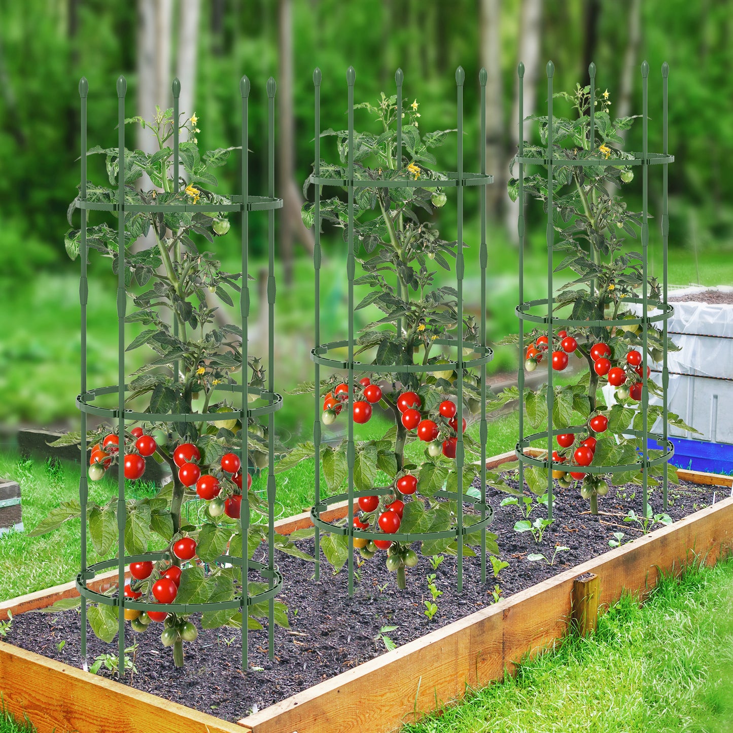 3-Pack Garden Trellis 40"/60" Tall Plant Support Stands with Clips and Ties-M