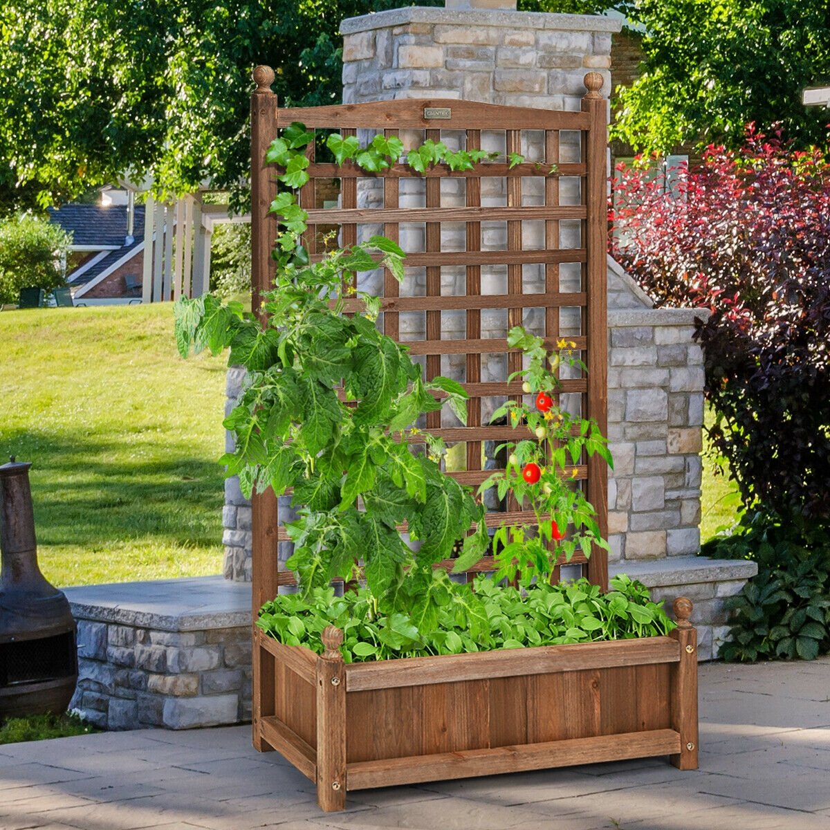 Solid Free Standing Wood Planter Box with Trellis