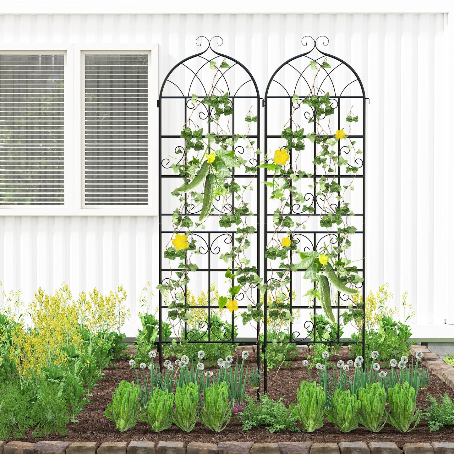 4 Pack 71" x 20" Metal Garden Trellis for Outdoor Climbing Plants