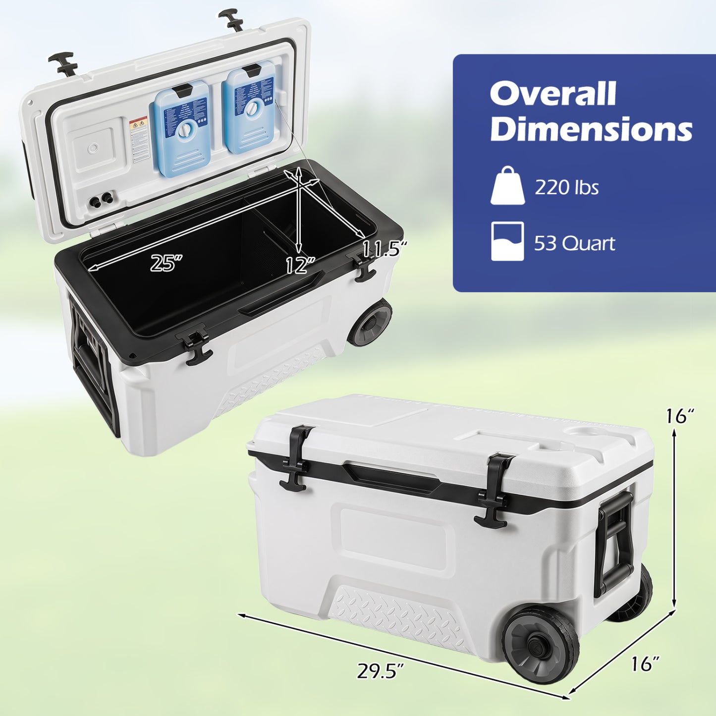 Gray 53-quart portable rolling cooler with fish ruler for outdoor camping, ideal for keeping drinks and fish fresh.