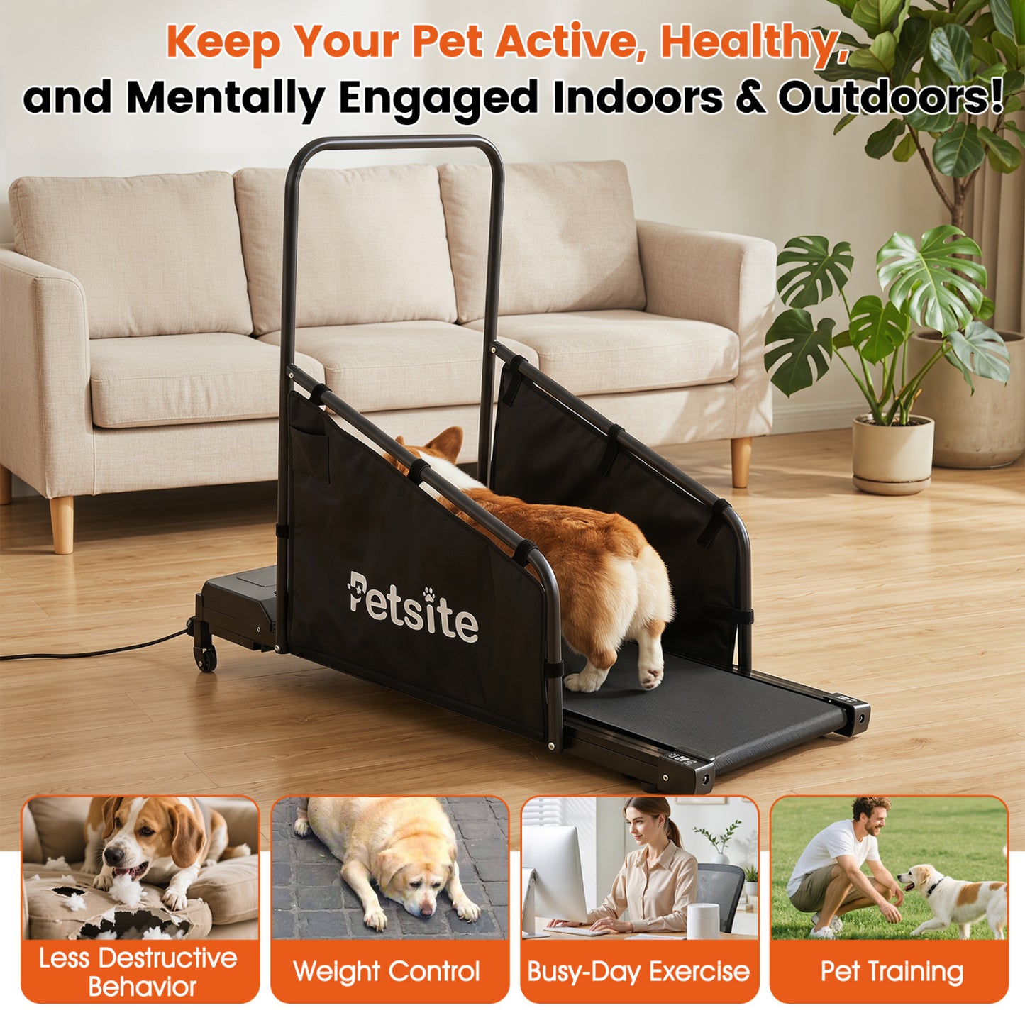 Black dog treadmill with remote control and LCD display for small and medium dogs, suitable for pet exercise and training.