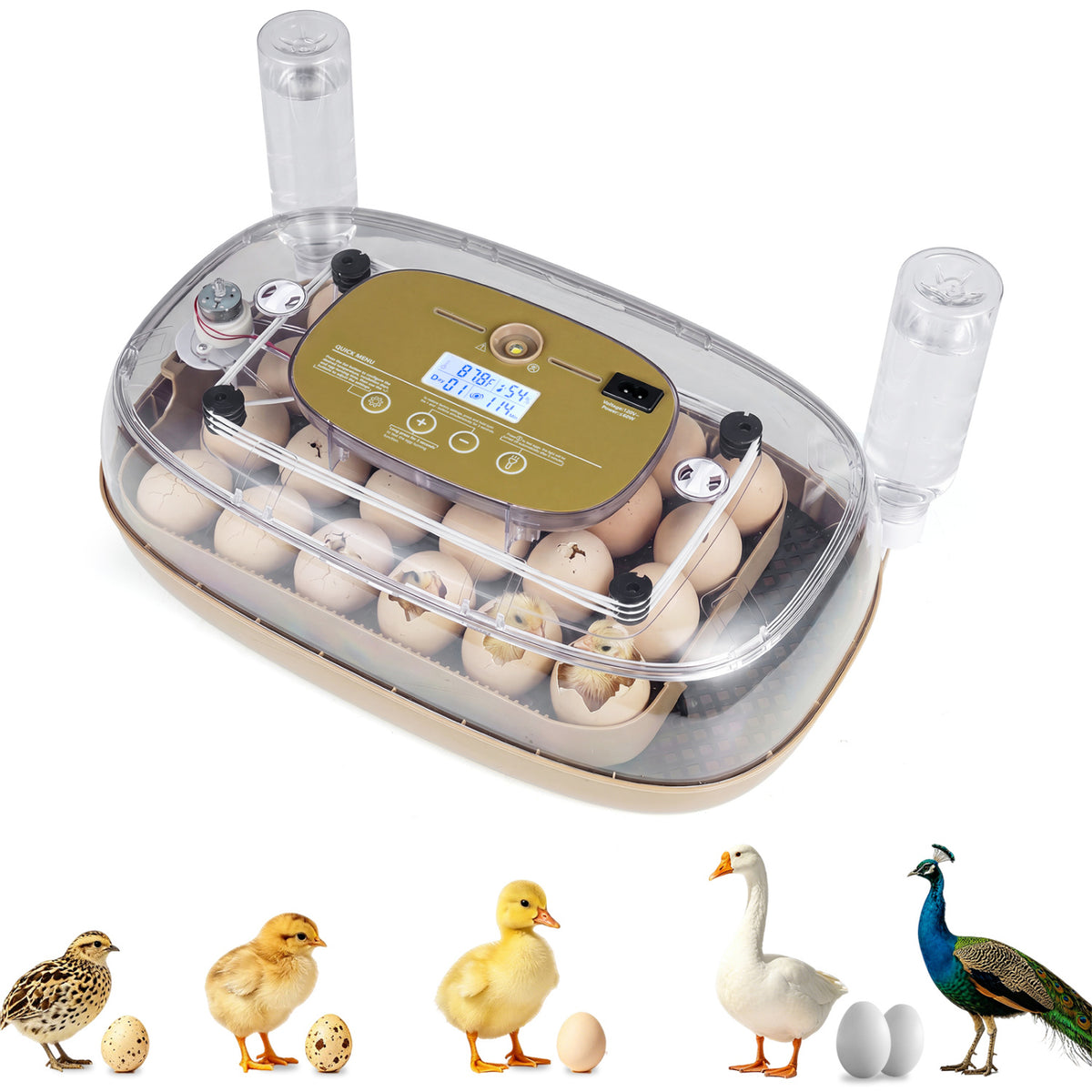 Egg incubator with temperature and humidity control by Wilsons Home Store, designed for poultry breeding, shown in the image.