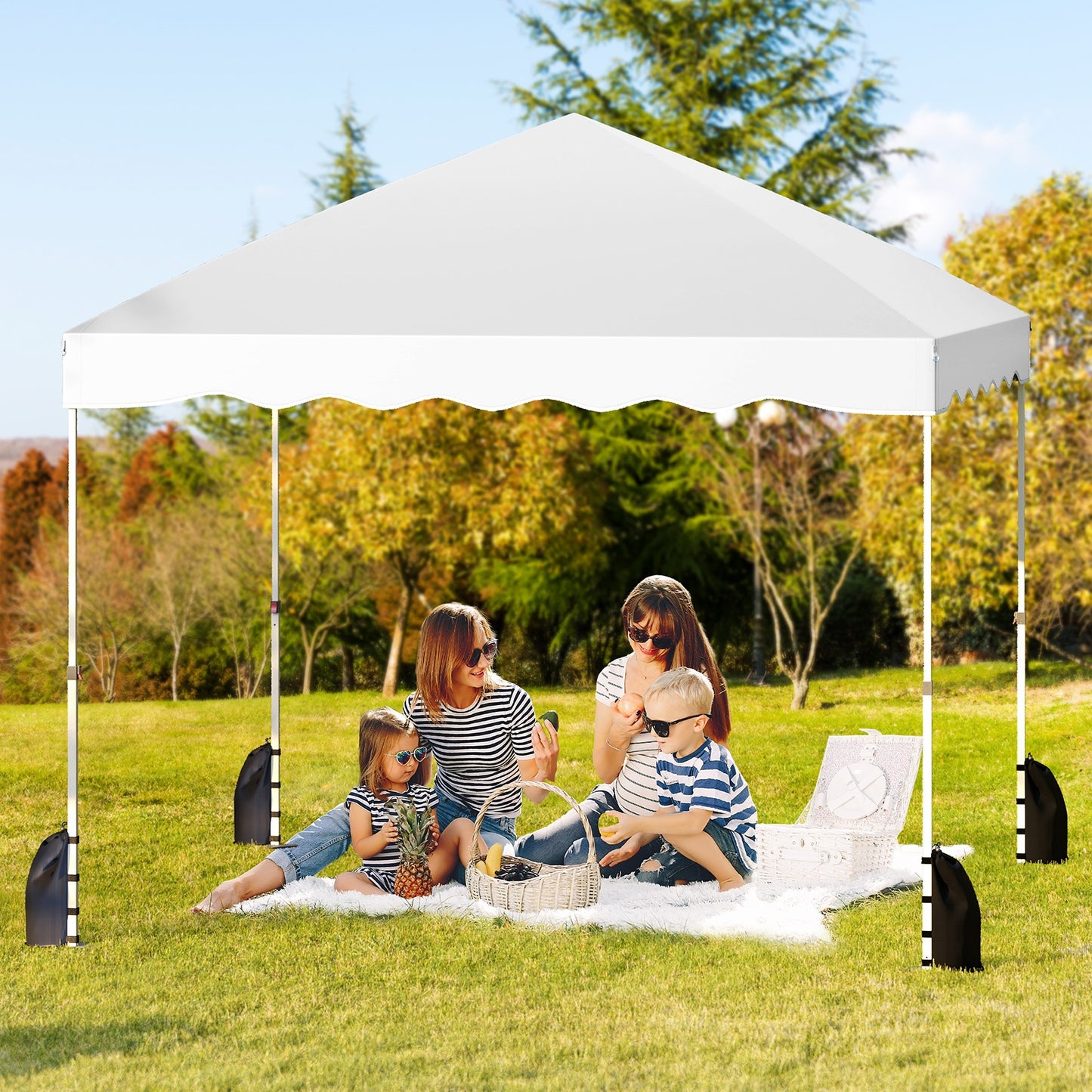 Foldable 10 X 10 Feet Pop up Canopy Tent with Wheeled Bag-Blue