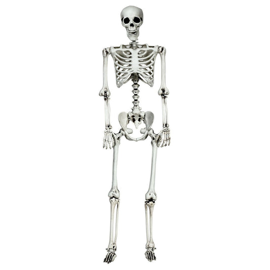 5.4 Feet Halloween Skeleton Life Size Realistic Full Body Hanging