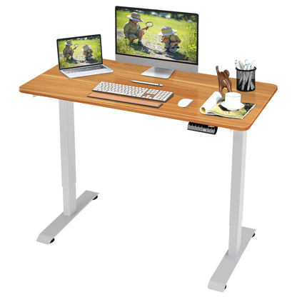 Electric Height Adjustable Standing Desk with Memory Controller-Black