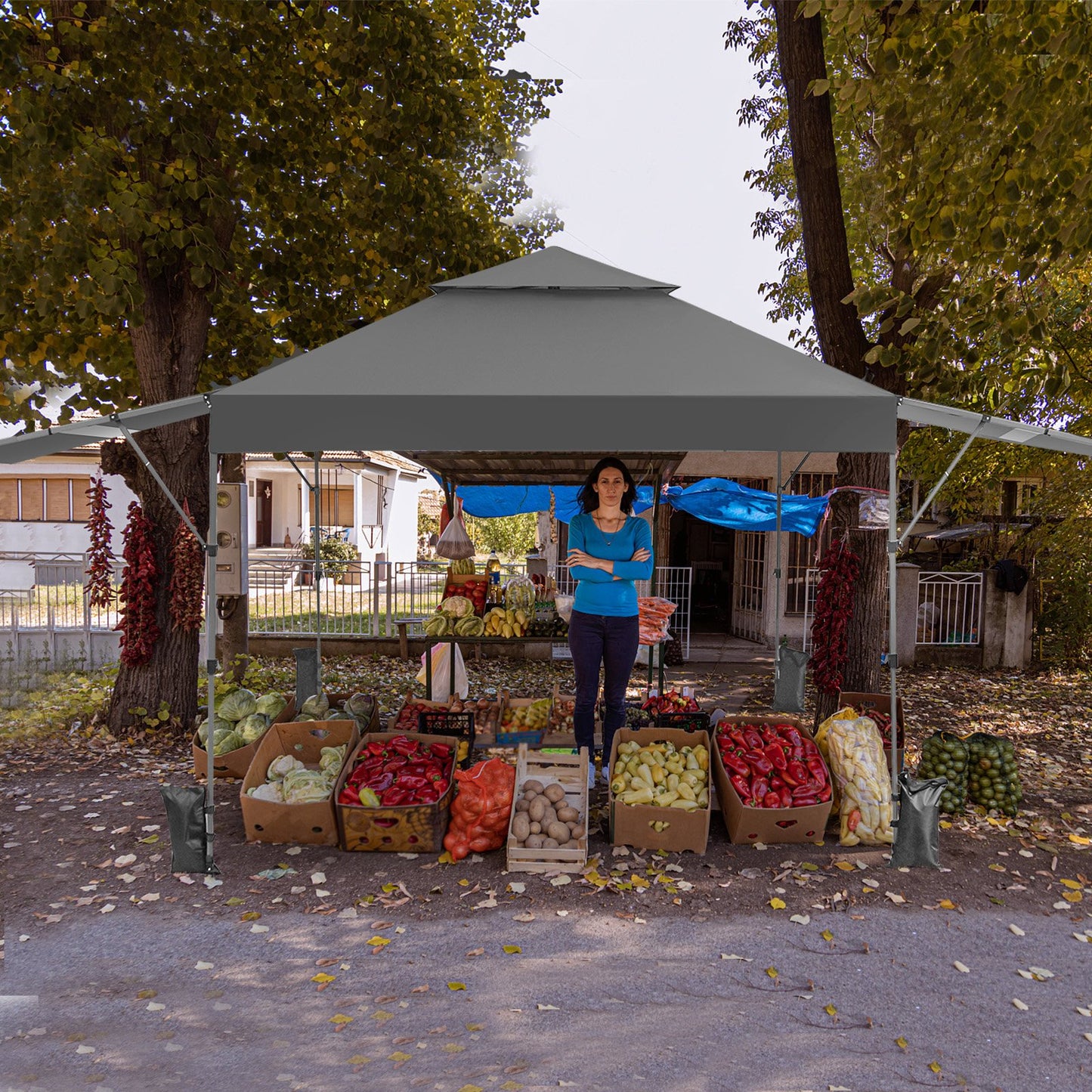 10 x 17.6 Feet Outdoor Instant Pop-up Canopy Tent with Dual Half Awnings-Black
