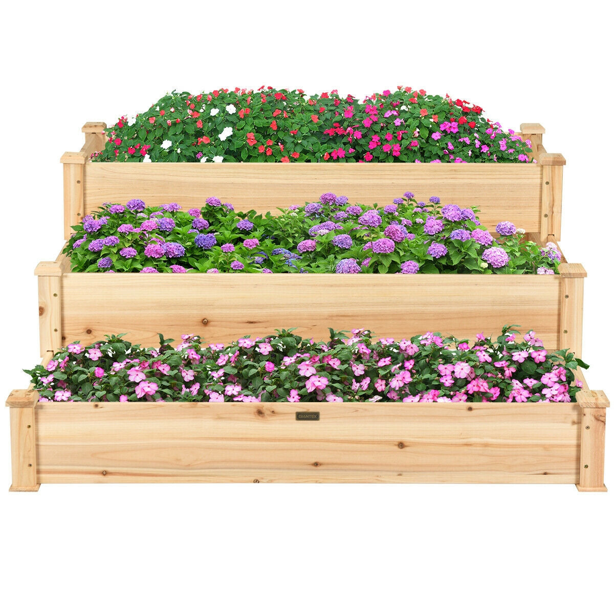 3 Tier Elevated Wooden Vegetable Garden Bed - Direct by Wilsons Home Store