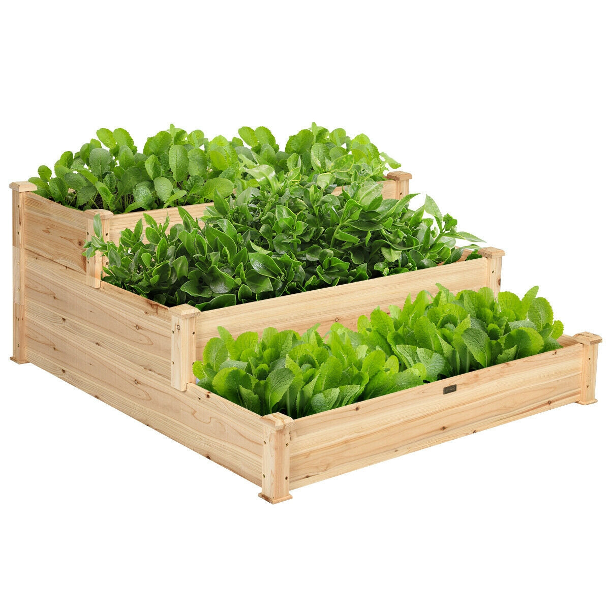 3 Tier Elevated Wooden Vegetable Garden Bed - Direct by Wilsons Home Store