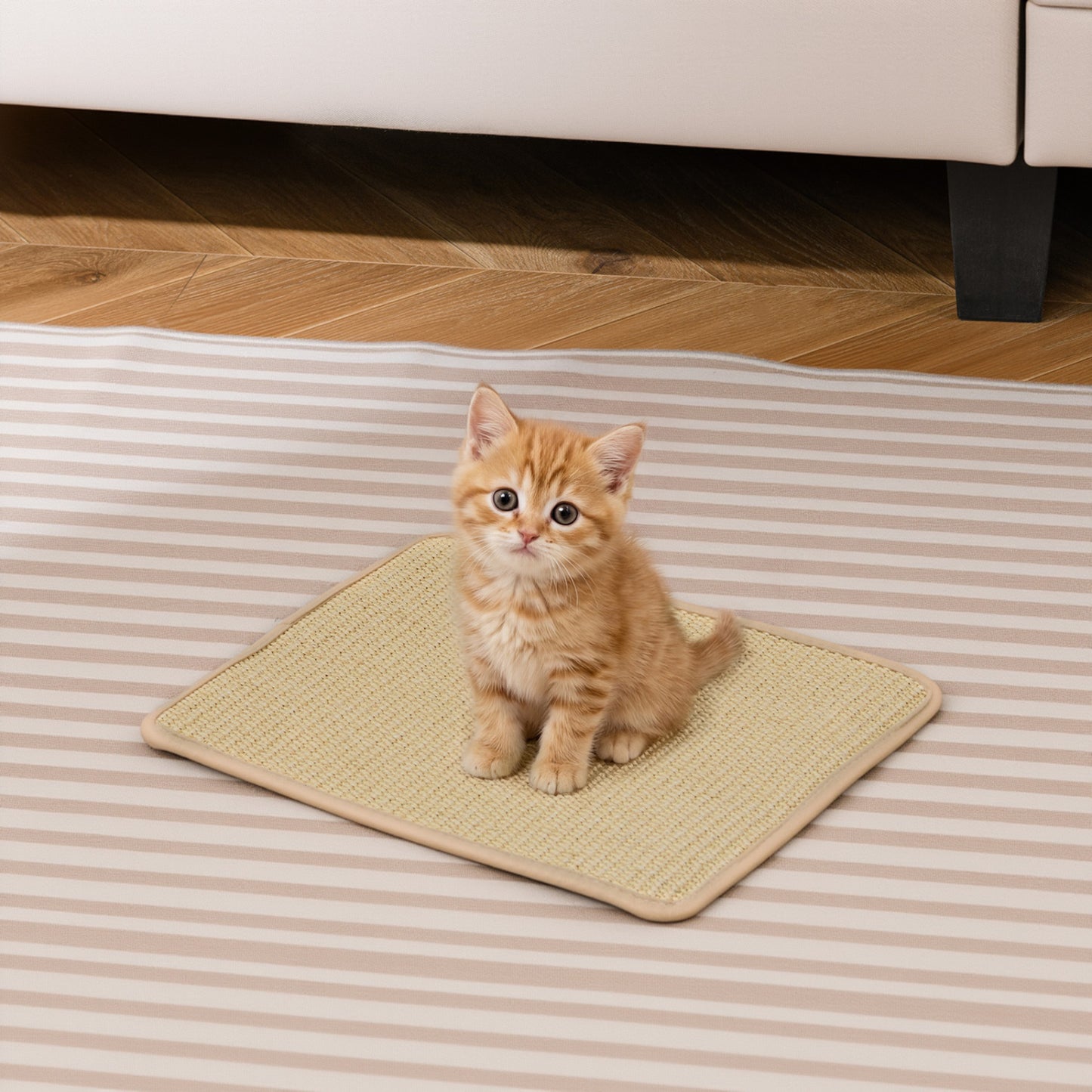 24 x 16 Inch 6-Piece Cat Scratcher Mat Set