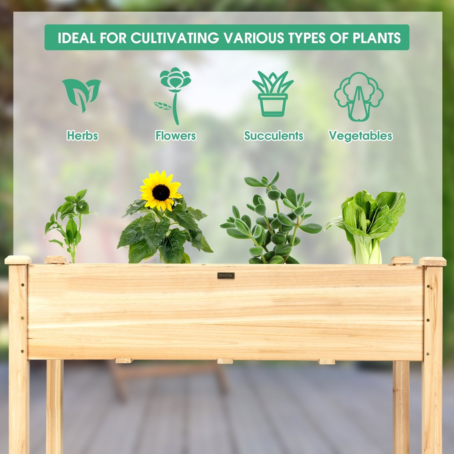 Wooden Raised Vegetable Garden Bed Elevated Grow Vegetable Planter-Gray