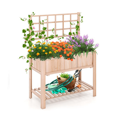 Raised Garden Bed Elevated Wooden Planter Box with Trellis