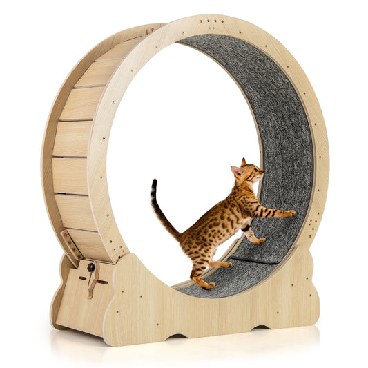 40 Inch Large Cat Exercise Wheel with Lockable Mechanism and Carpeted Runaway for Indoor Cats-Natural