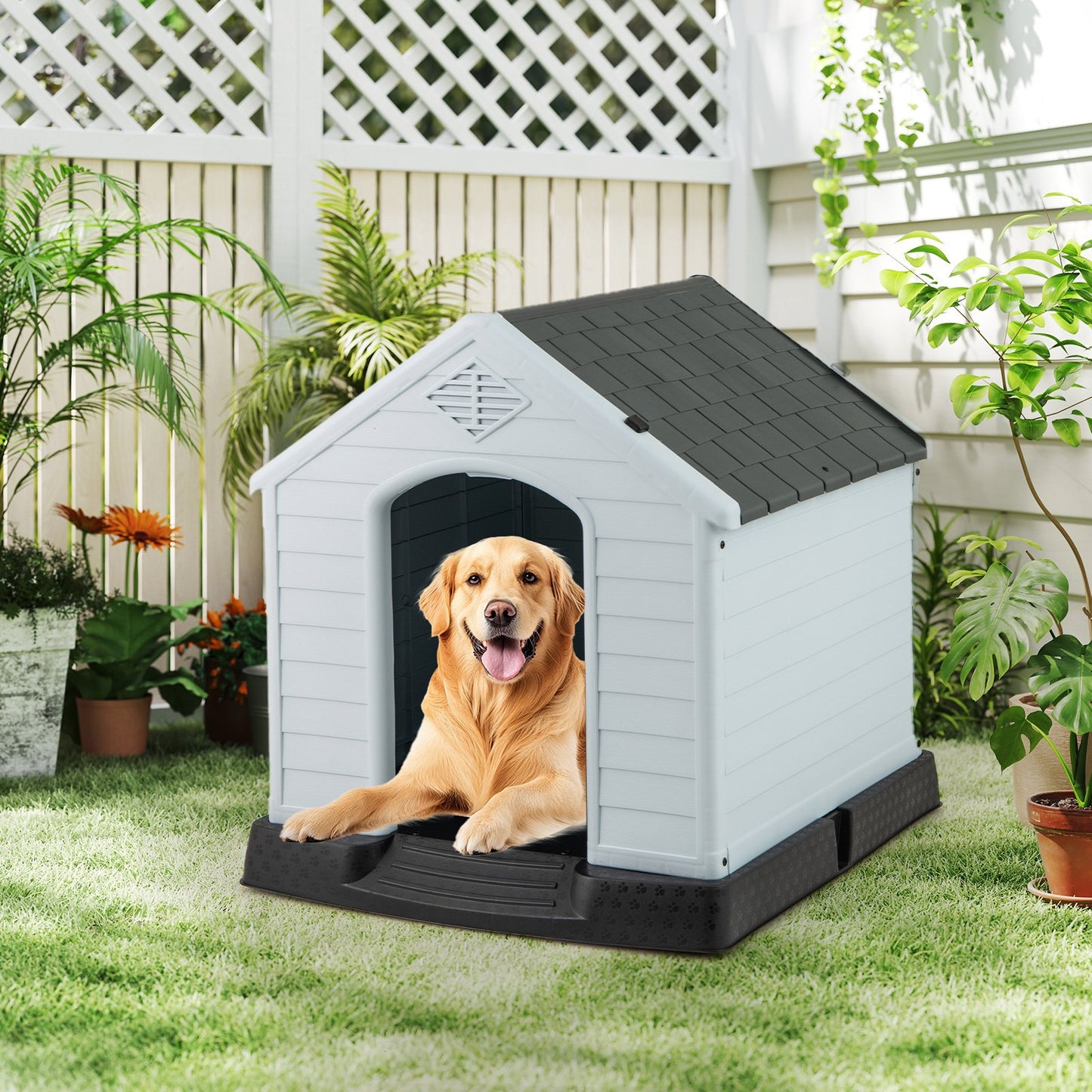 Dog House for Small Dogs Waterproof Plastic with Elevated Floor-M
