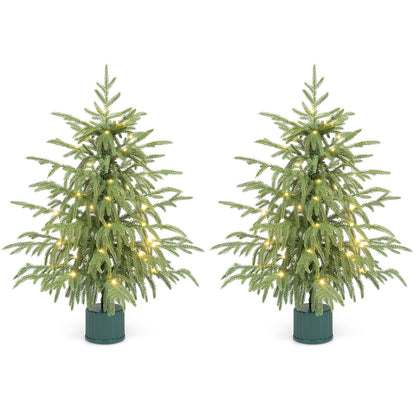 Set of two 24-inch pre-lit tabletop Christmas trees with rotating musical bases and PE branch tips, holiday decor by Wilsons Home Store.