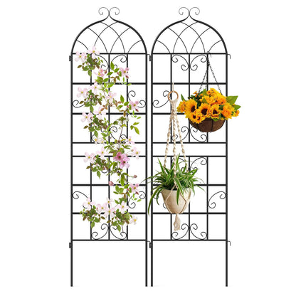2 Pack 71" x 20" Metal Garden Trellis for Outdoor Climbing Plants