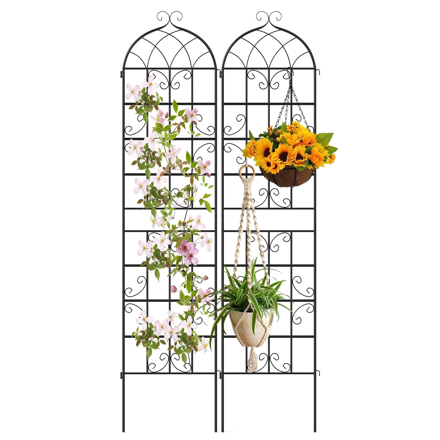 2 Pack 86" x 20" Metal Garden Trellis for Outdoor Climbing Plants