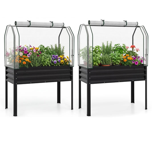2 Pieces Galvanized Raised Garden Bed with Legs and Greenhouse Cover for Vegetable Flower-Black