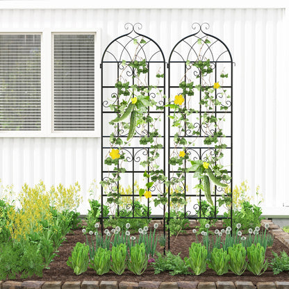 4 Pack 71" x 20" Metal Garden Trellis for Outdoor Climbing Plants