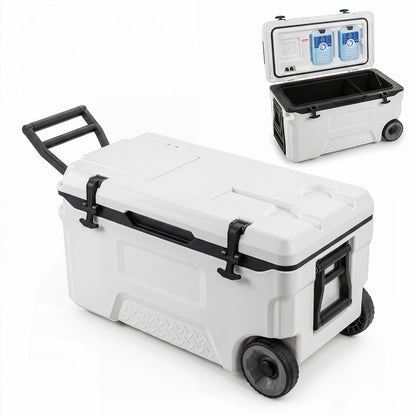 Gray 53-quart portable rolling cooler with fish ruler from Wilsons Home Store, ideal for outdoor camping and fishing trips.