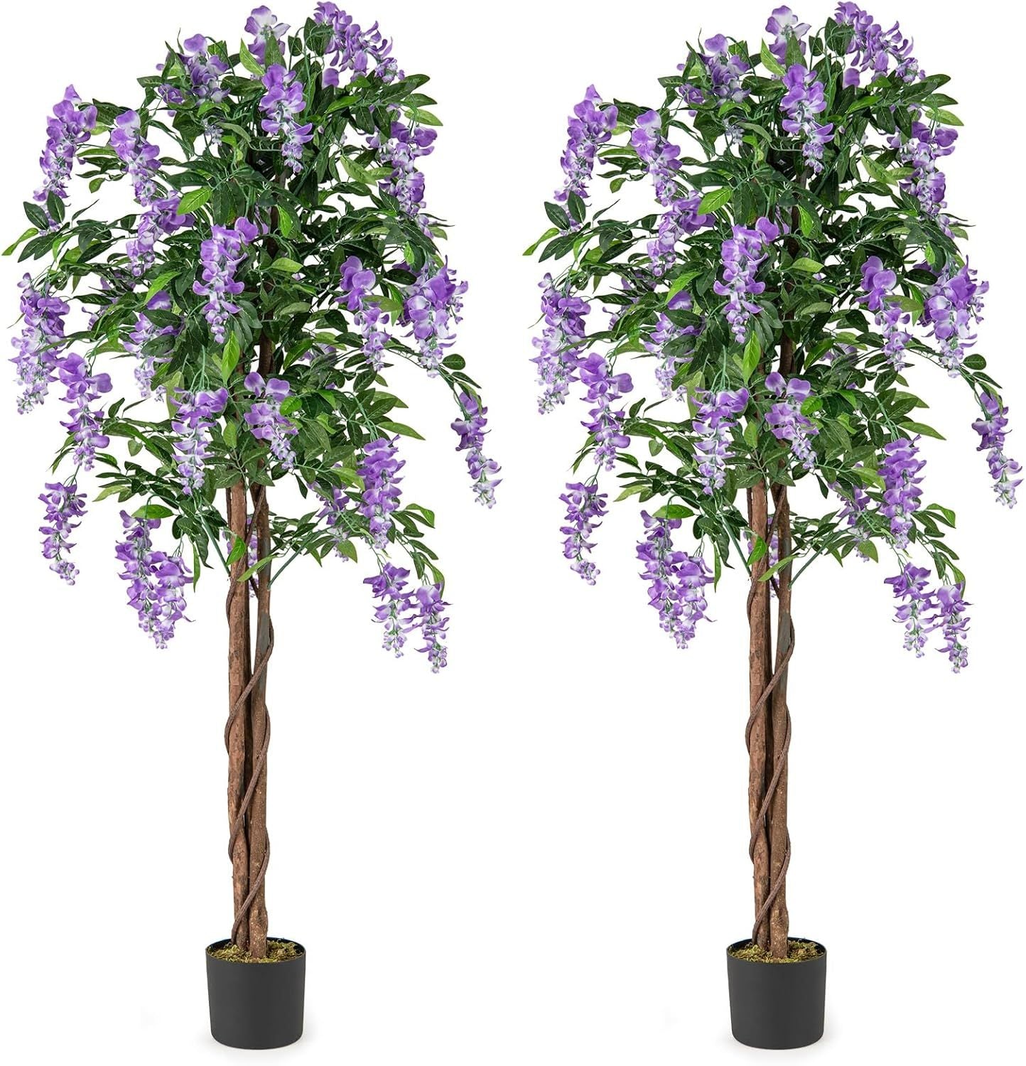Set of two 5.5 ft faux wisteria plants in nursery pots with purple blooming flowers for home decor.