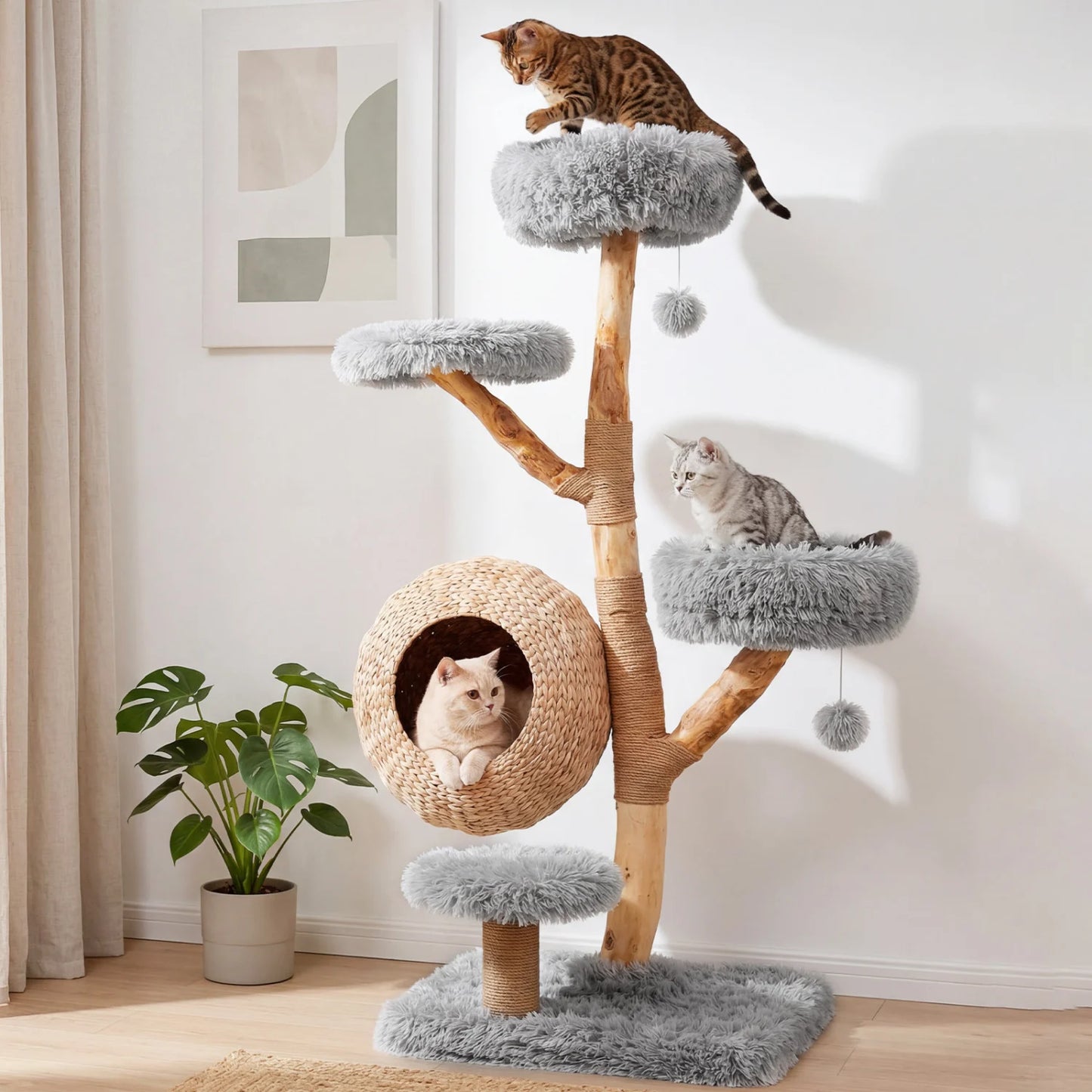 Gray 5-tier wooden cat tree from Wilsons Home Store with woven condo, plush perches, jute posts, and hanging balls for cats.
