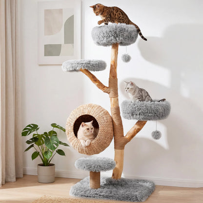 Gray 5-tier wooden cat tree from Wilsons Home Store with woven condo, plush perches, jute posts, and hanging balls for cats.