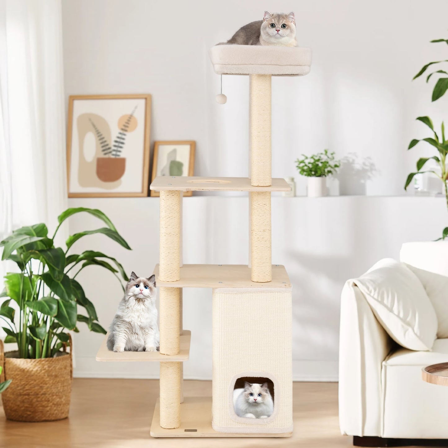 63 Inch Tall Wooden Cat Tree with 2-Story Condo and Plush Padded Top Perch-NA