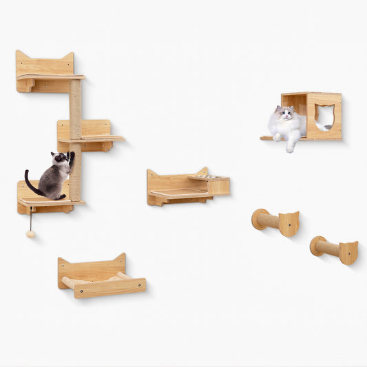 Six natural wood cat wall furniture shelves set with mounted kitten perches and climbing surfaces for pet play and enrichment.