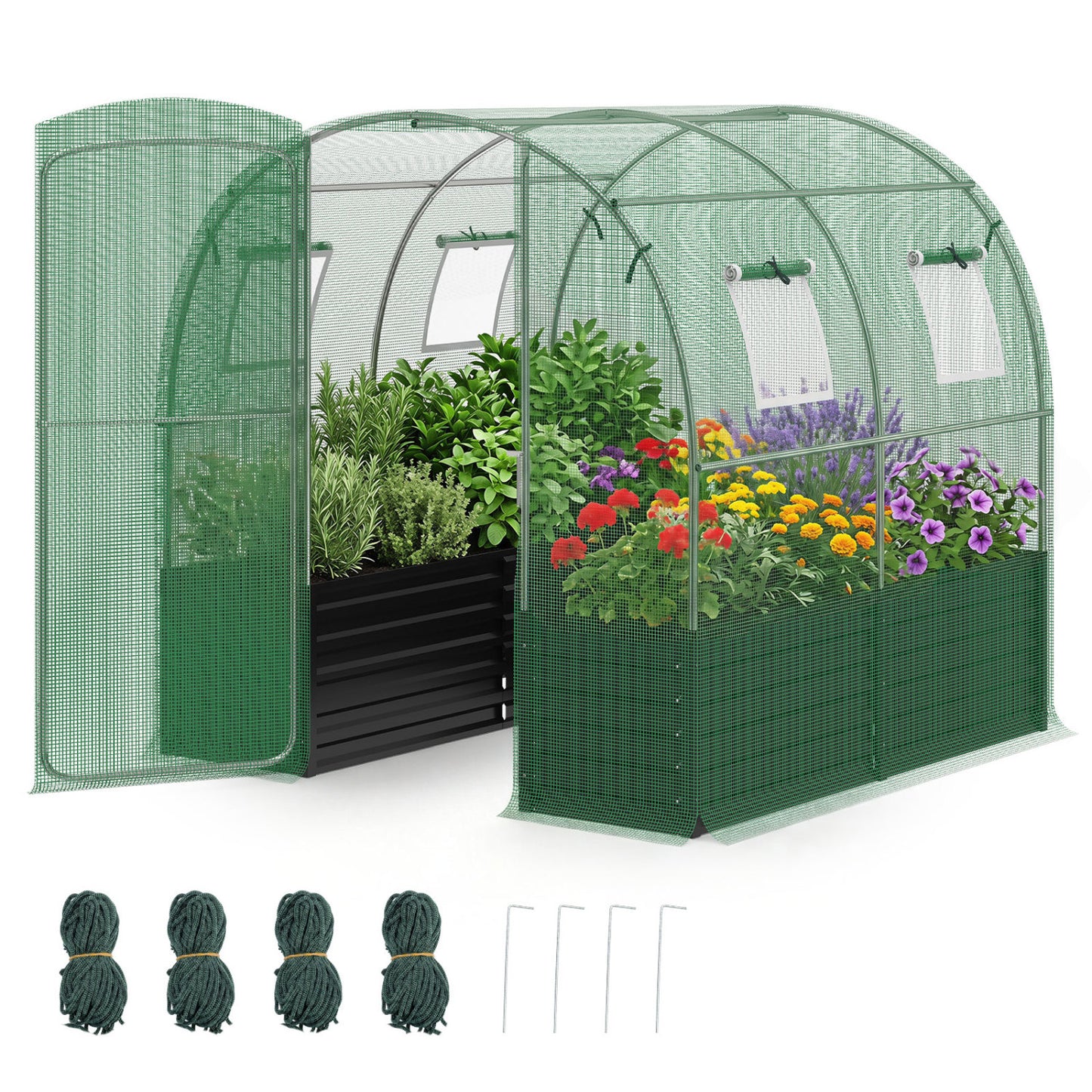 80 x 79 x 79 Inches Walk-in Greenhouse with Large Plant Bed-Green