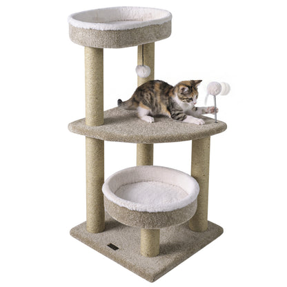 36-inch carpeted cat tree with plush perches, scratching posts, and dangling ball for cats, by Wilsons Home Store.