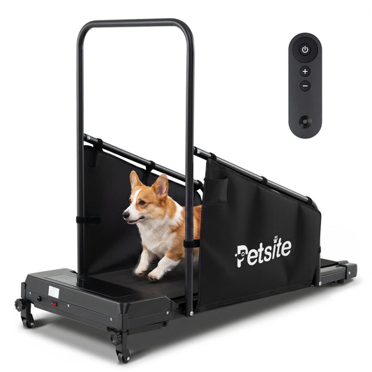 Black dog treadmill with remote control and LCD display for small to medium dogs, ideal for indoor pet exercise.