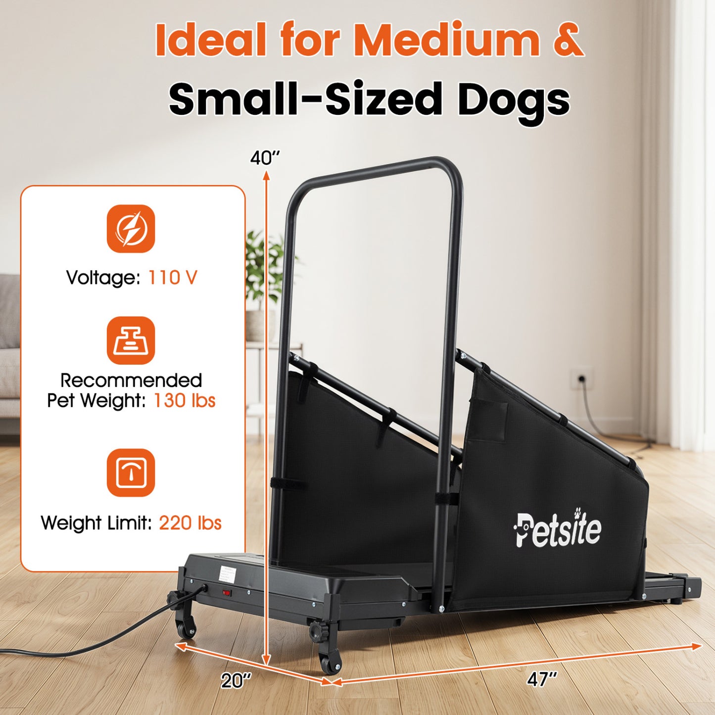 Black dog treadmill with remote control and LCD display for small and medium dogs, from Direct by Wilsons Home Store.