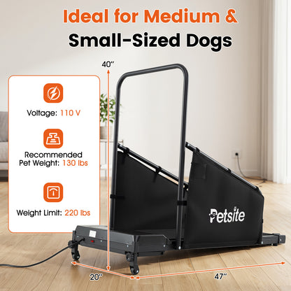 Black dog treadmill with remote control and LCD display for small and medium dogs, from Direct by Wilsons Home Store.