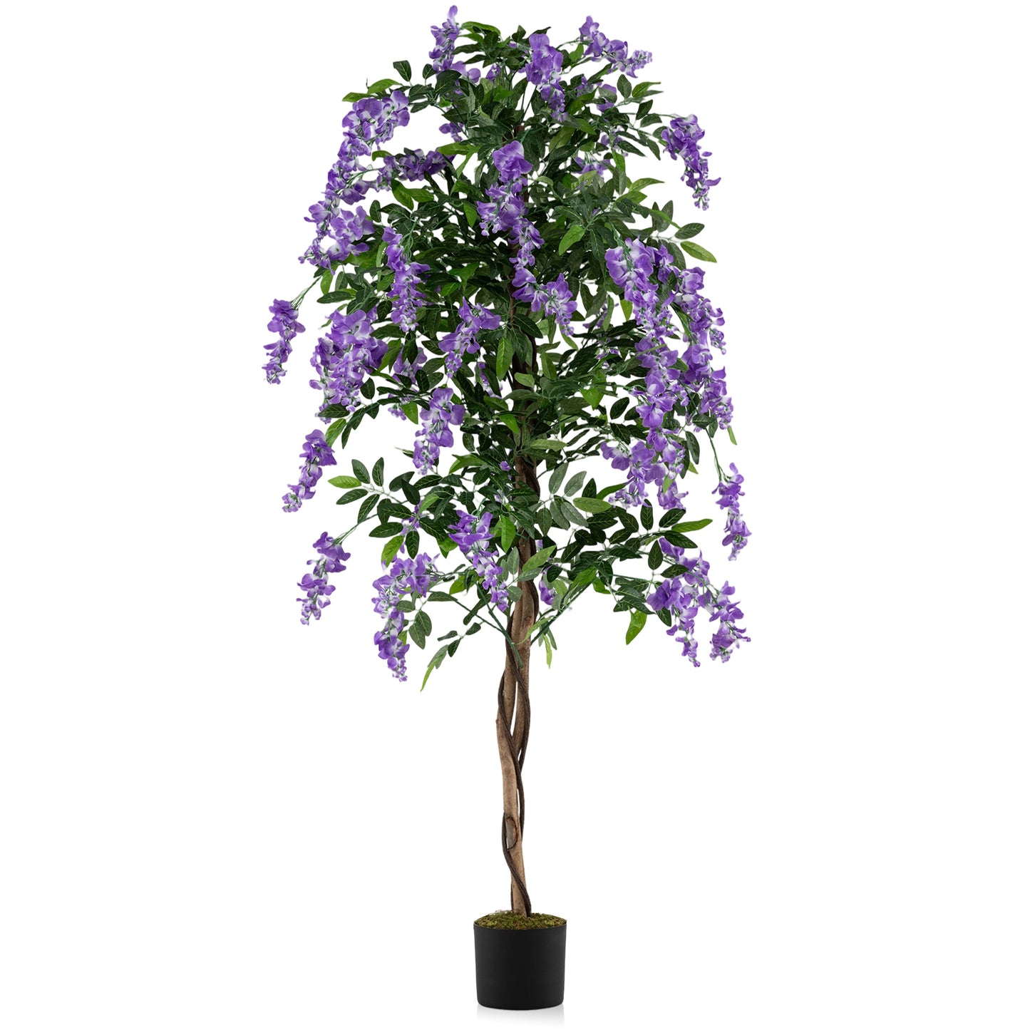 Fake Ficus Plant 6 FT Artificial Wisteria Tree with Natural Trunks and Purple Lifelike Flowers
