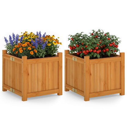 Folding Square Fir Wood Raised Garden Bed with Removable Bottom Set of 2-Brown