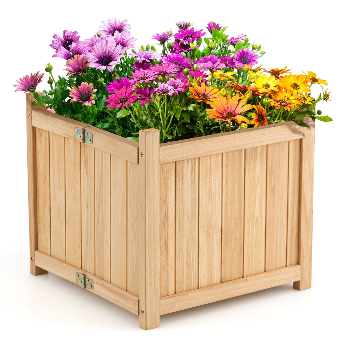Folding Square Fir Wood Raised Garden Bed with Removable Bottom-Brown
