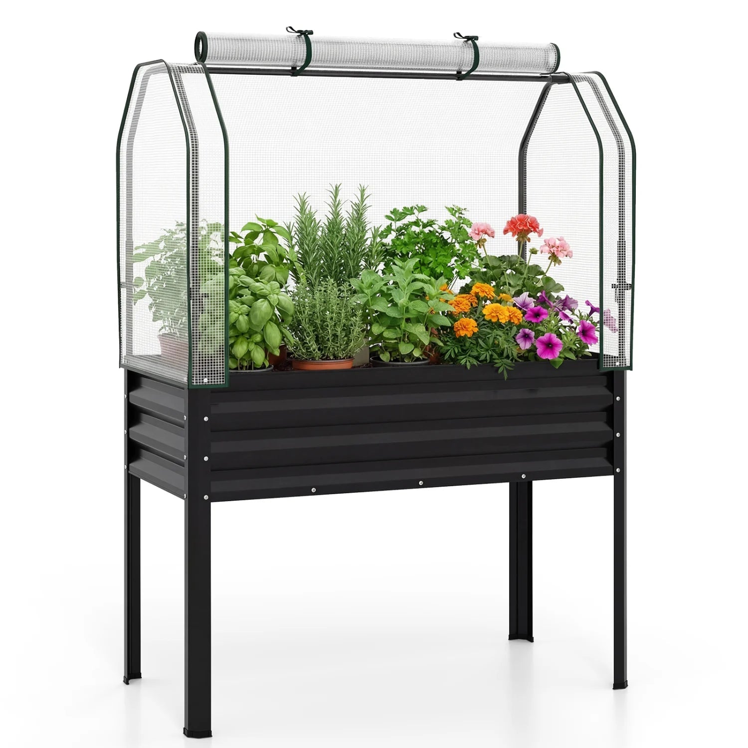 Galvanized raised garden bed with legs and green greenhouse cover for vegetables and flowers, black outdoor garden planter.