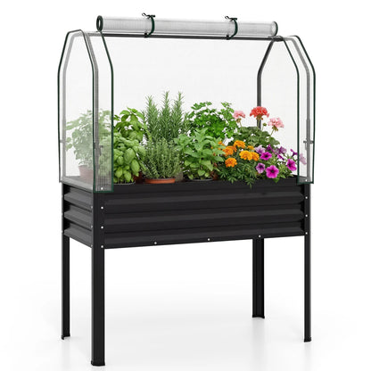 Galvanized raised garden bed with legs and green greenhouse cover for vegetables and flowers, black outdoor garden planter.