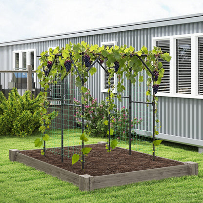 Large Garden Arch Trellis for Climbing Plants Outdoor Grape Vine Support-Black
