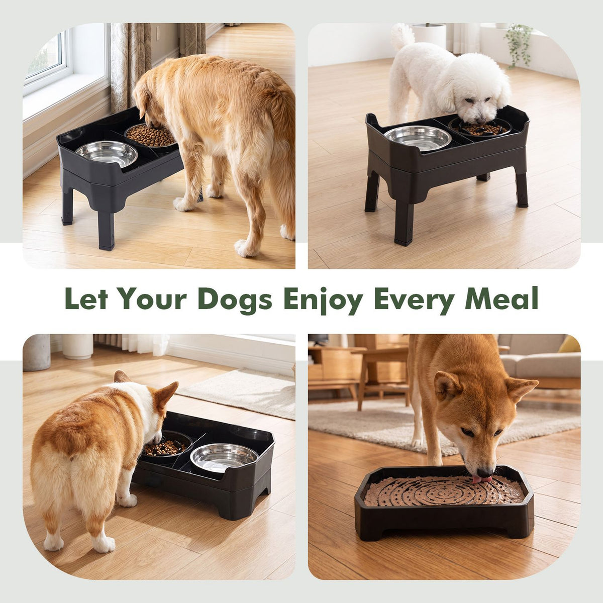 Mess Proof Elevated Dog Bowls with 4 Adjustable Heights with Licking Plate-Black