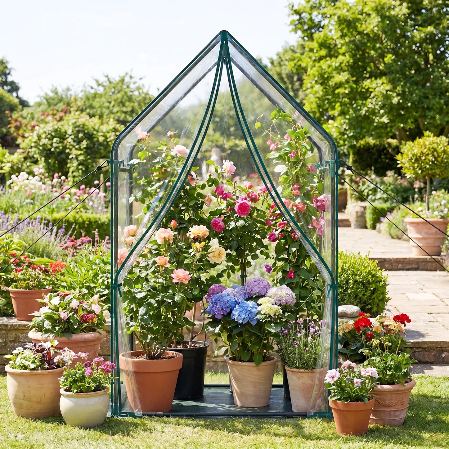 Mini Green House Metal Frame with Waterproof Bottom Mat and Wind Ropes-L