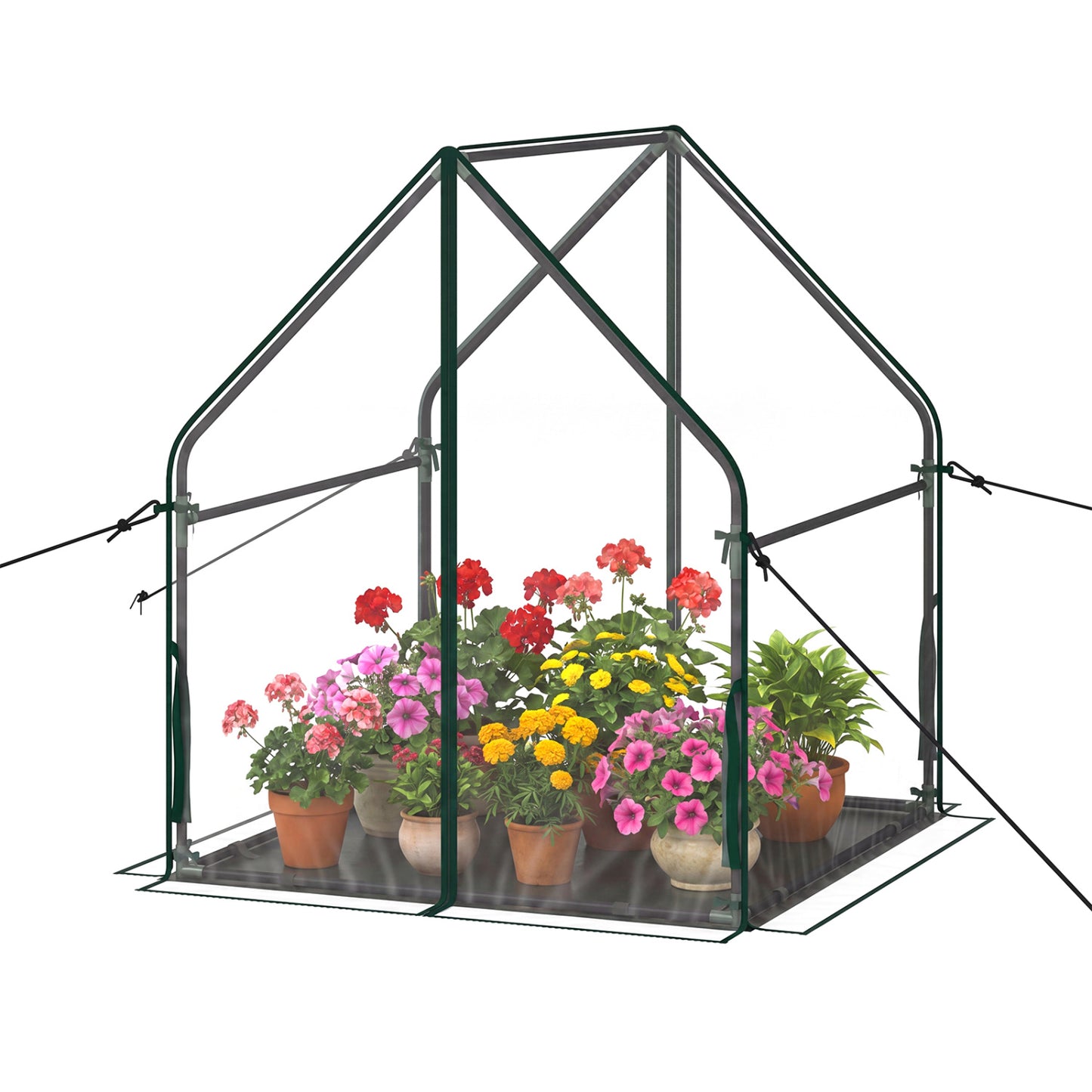Mini Green House Metal Frame with Waterproof Bottom Mat and Wind Ropes-M