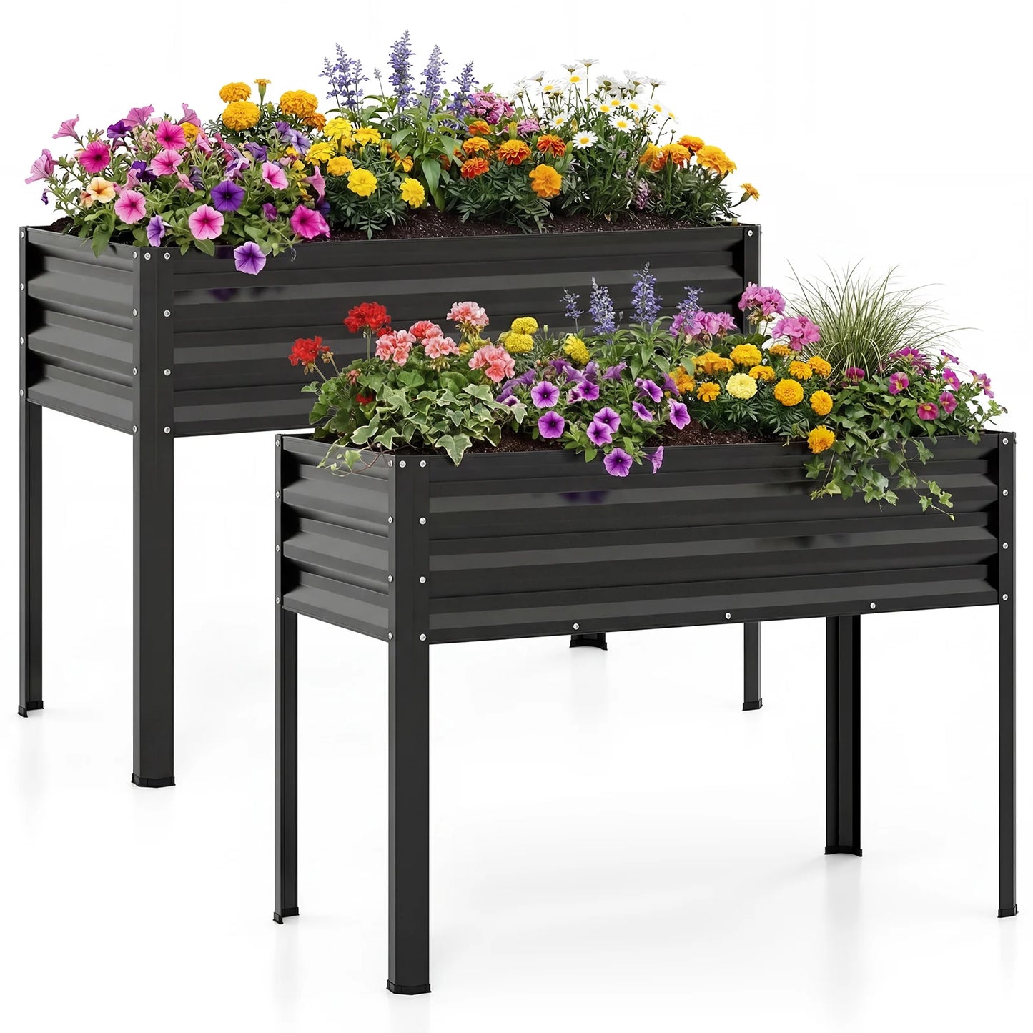 Set of two black raised garden beds made of electro-coated metal, large elevated planters for outdoor gardening.