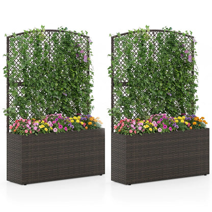 Set of 2 58 Inch Raised Garden Bed with Trellis and Wicker Planter Box-Black