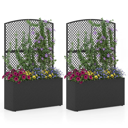 Set of 2 58 Inch Raised Garden Bed with Trellis and Wicker Planter Box-Black