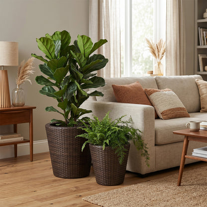 Set of 2 brown plastic taper rattan planters with drainage holes and saucers, ideal for outdoor garden raised beds.