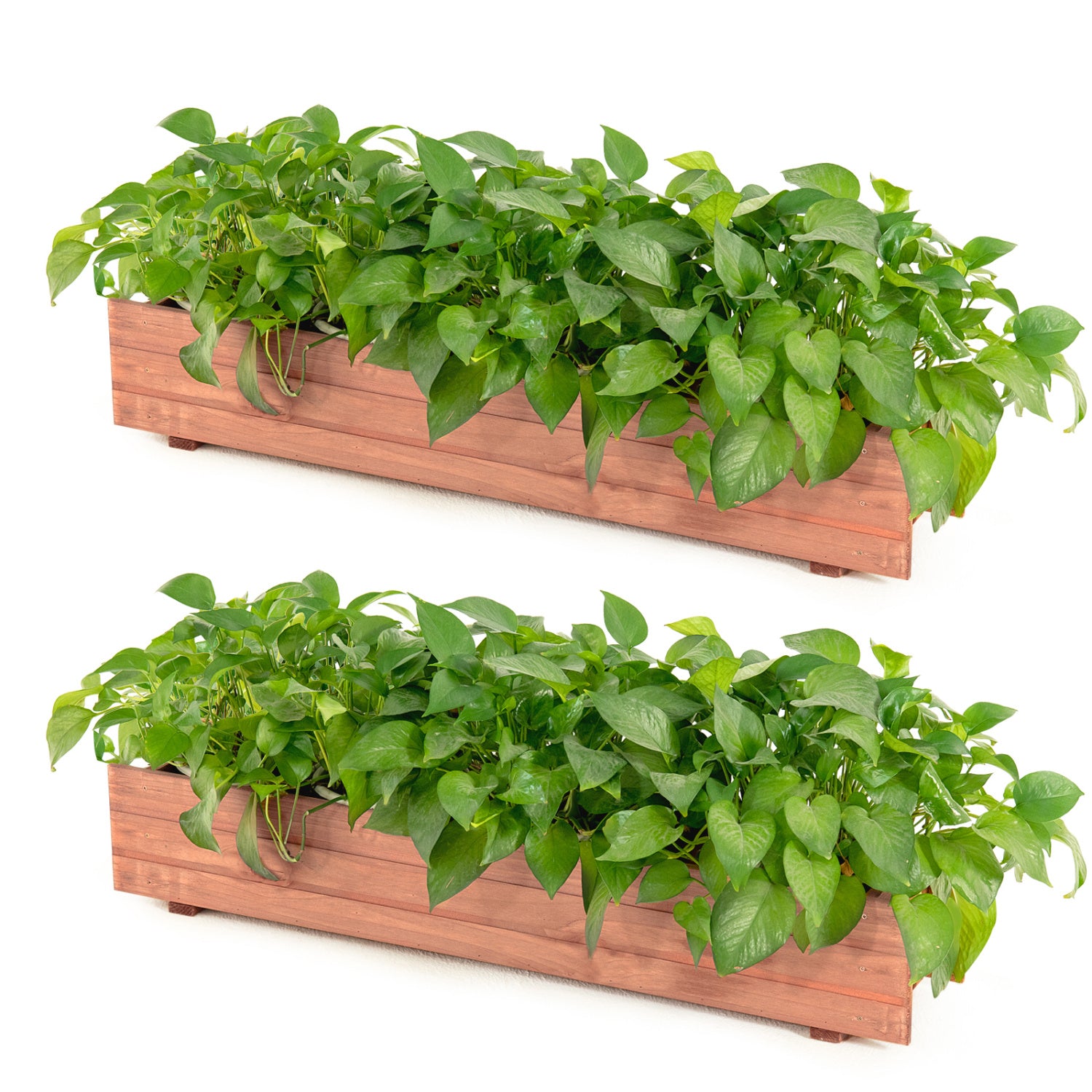 Set of 2 brown wooden decorative raised garden beds for yard and window, ideal for outdoor gardening and landscaping.