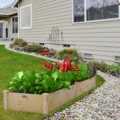 Set of 2 Wooden Vegetable Raised Garden Bed for Backyard-Brown